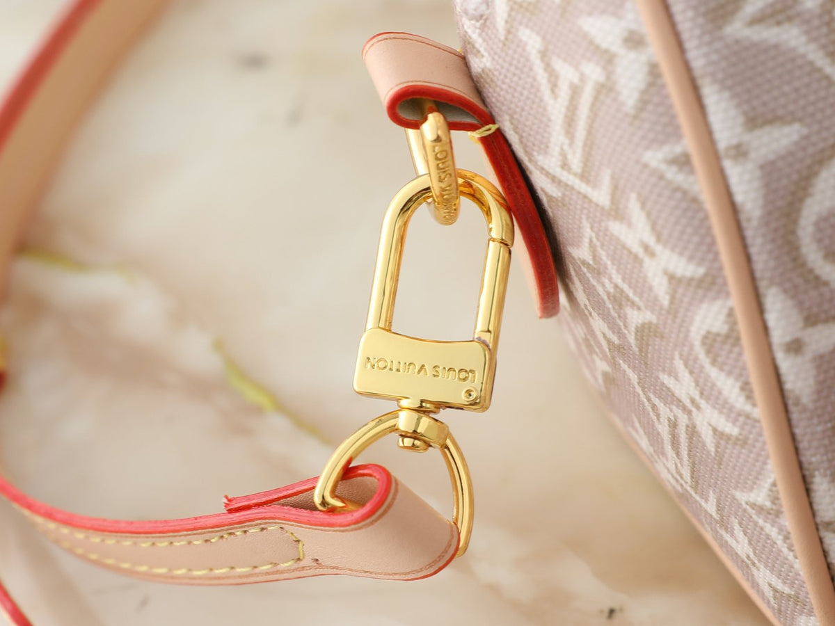 Louis Vuitton Speedy Bandoulière Monogram Emblème Handbag — detail