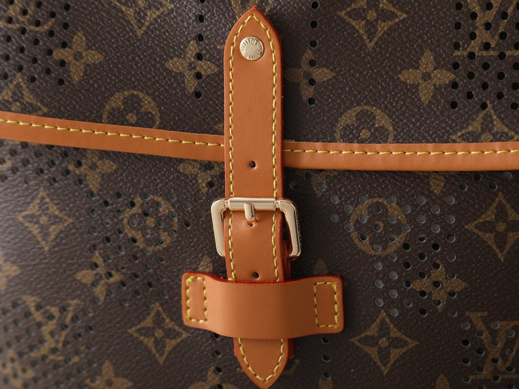 Louis Vuitton Flaneur Monogram Grid Backpack — detail