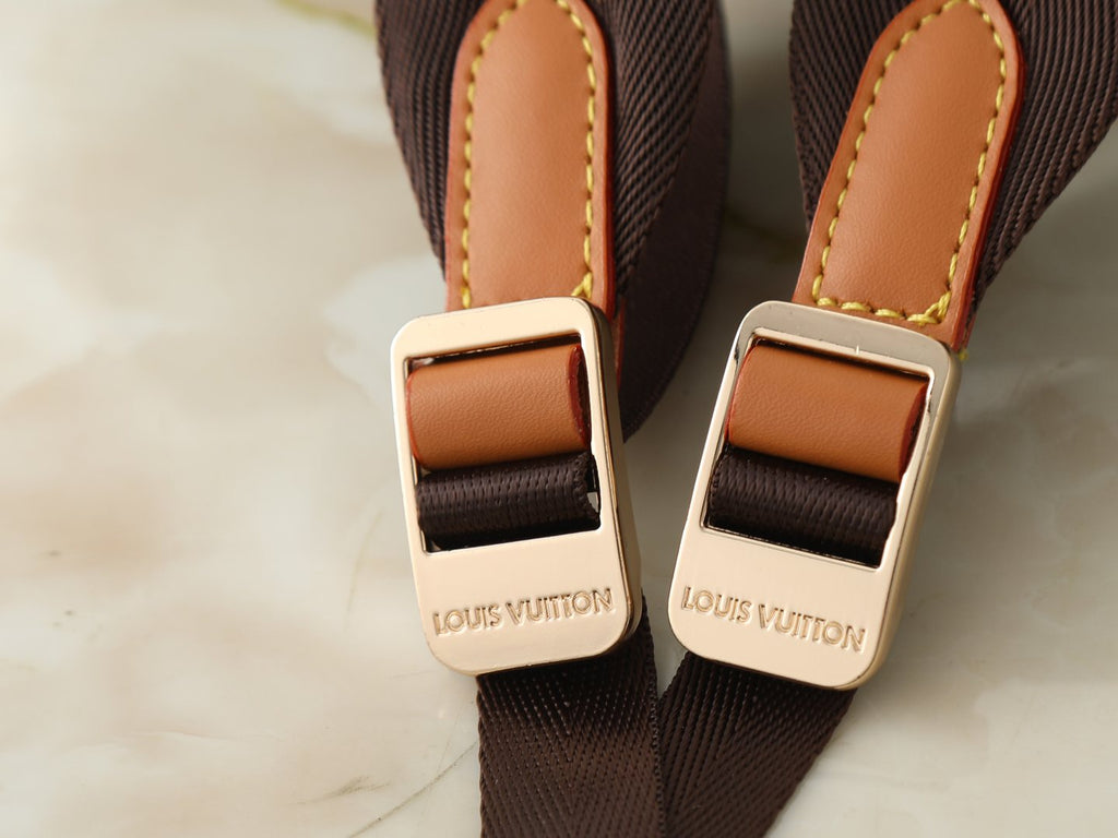 Louis Vuitton Flaneur Monogram Grid Backpack — detail