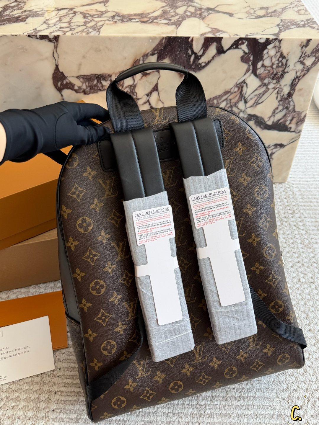Louis Vuitton Black-Trim Zip Backpack — back