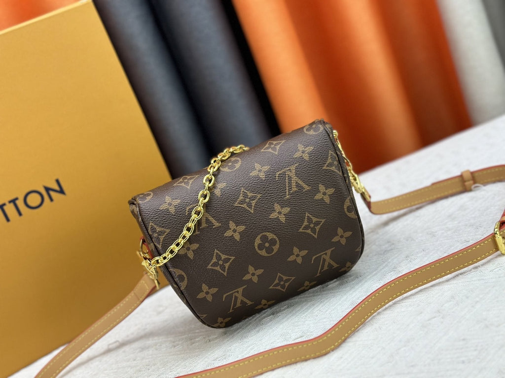 Louis Vuitton Monogram Bumbag — back