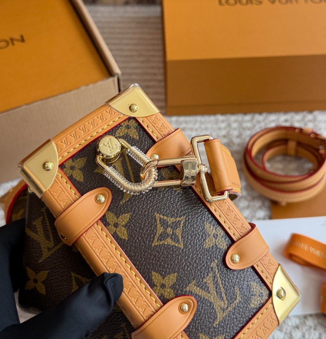 Louis Vuitton Side Trunk Monogram Handbag — detail