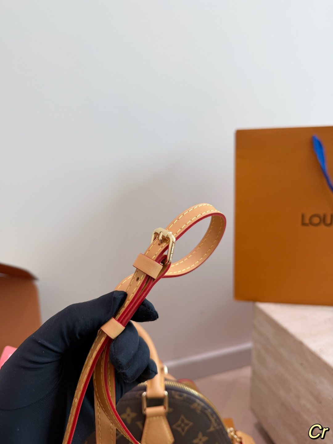 Louis Vuitton Domed Monogram Top-Handle Bag — detail
