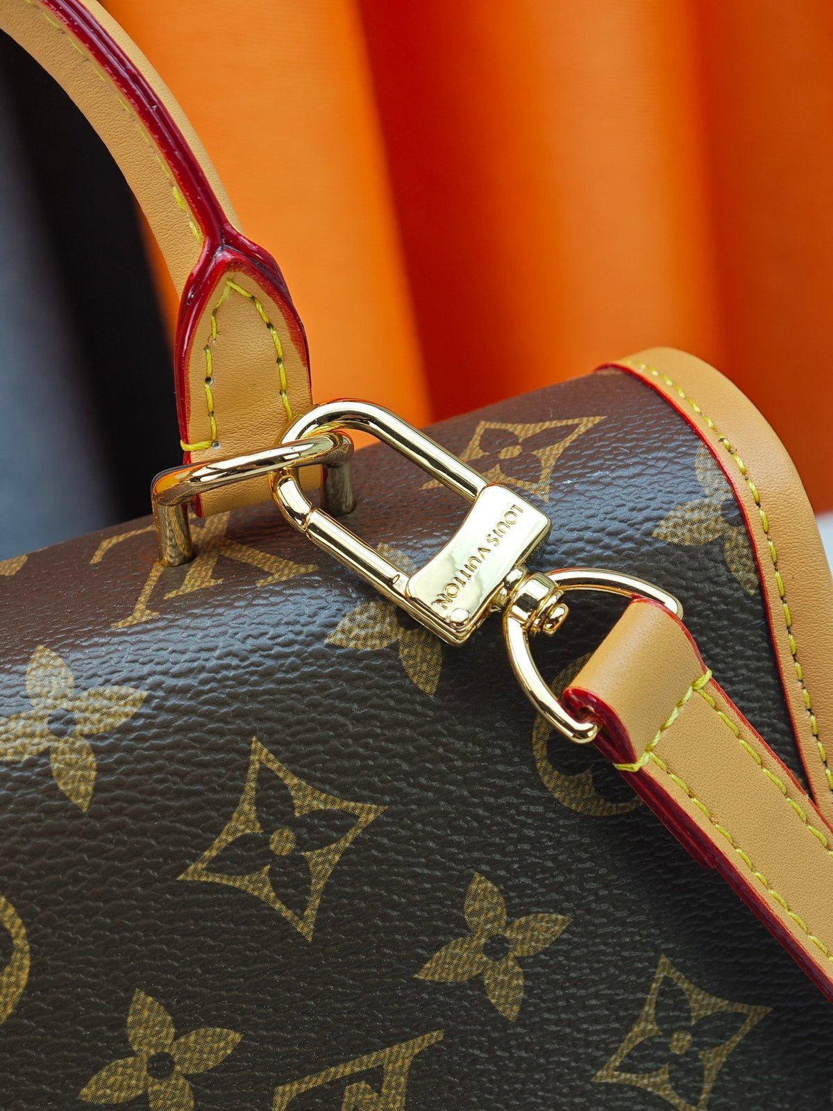 Louis Vuitton Diane Monogram Backpack — detail