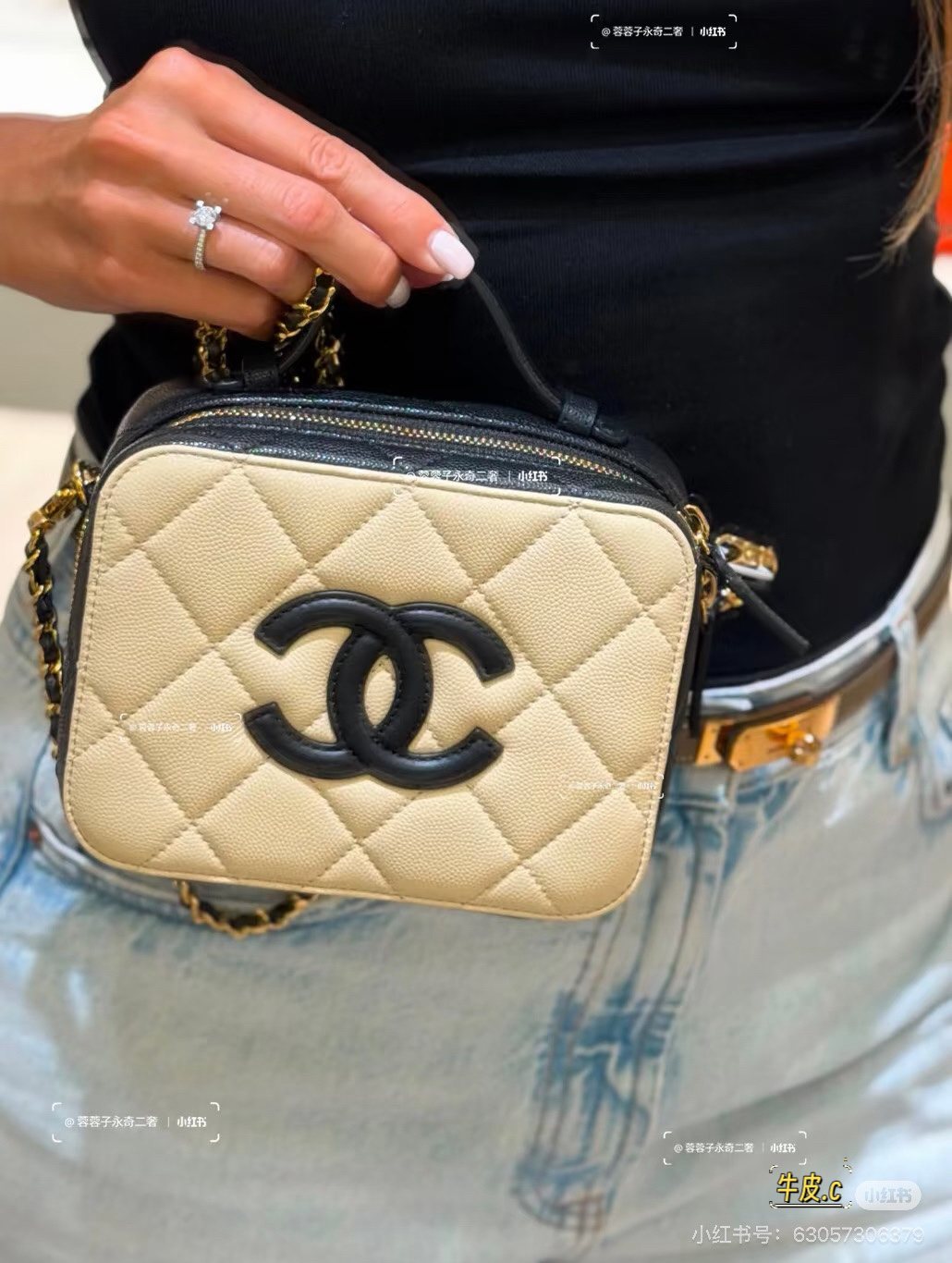 Chanel Rounded Top Handle Camera Bag — model