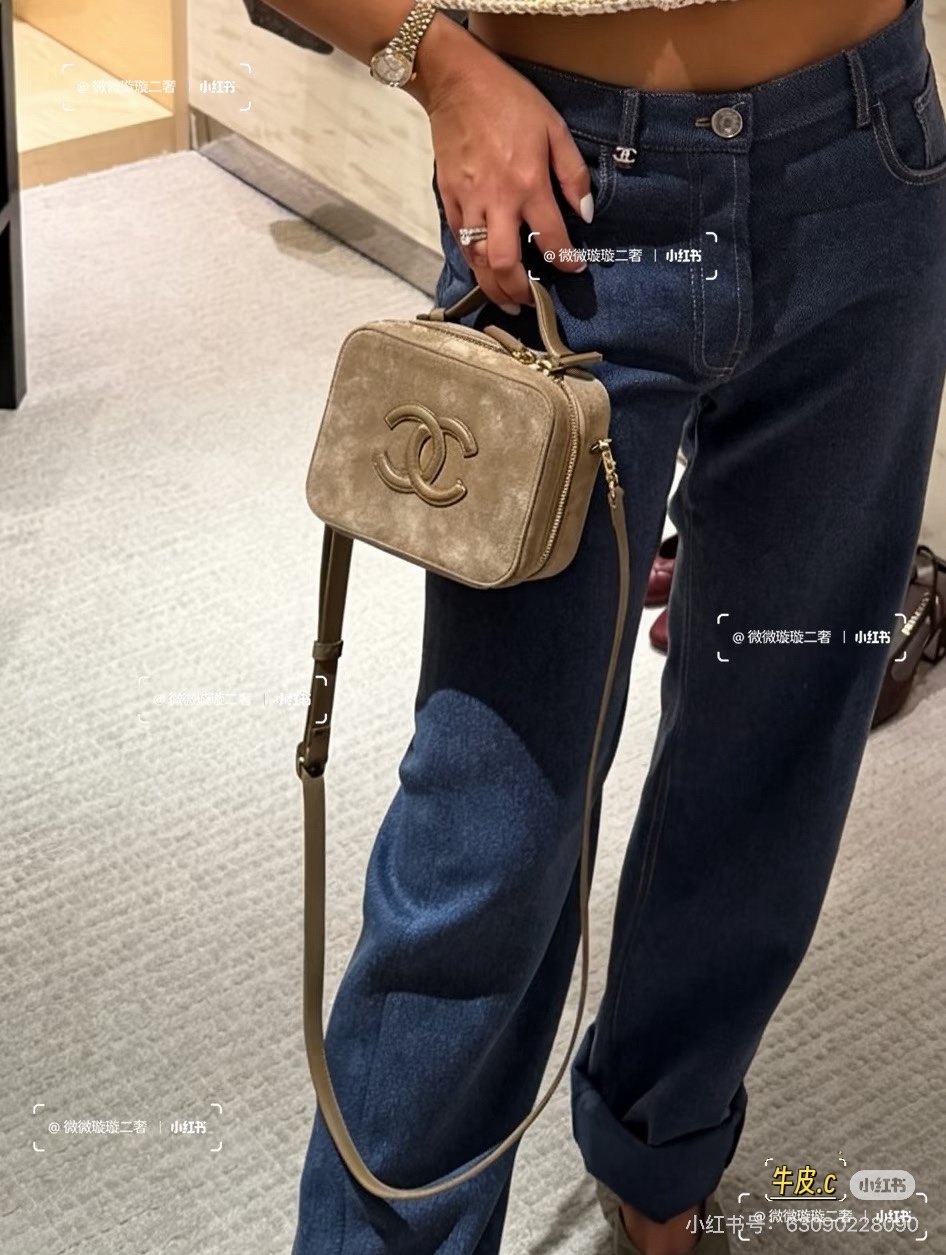Chanel Rounded Top Handle Camera Bag — model