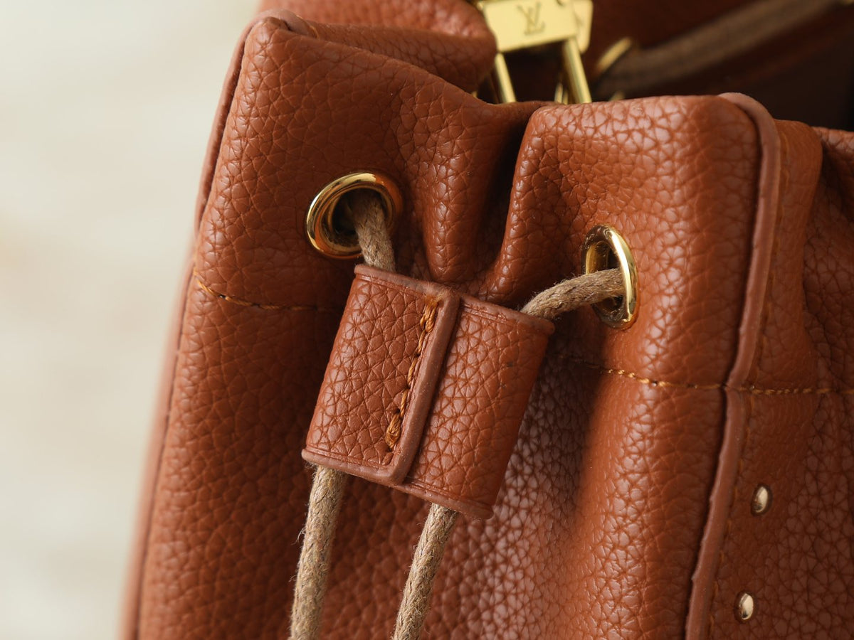 Louis Vuitton Noé Trunk Drawstring Bucket Bag — detail