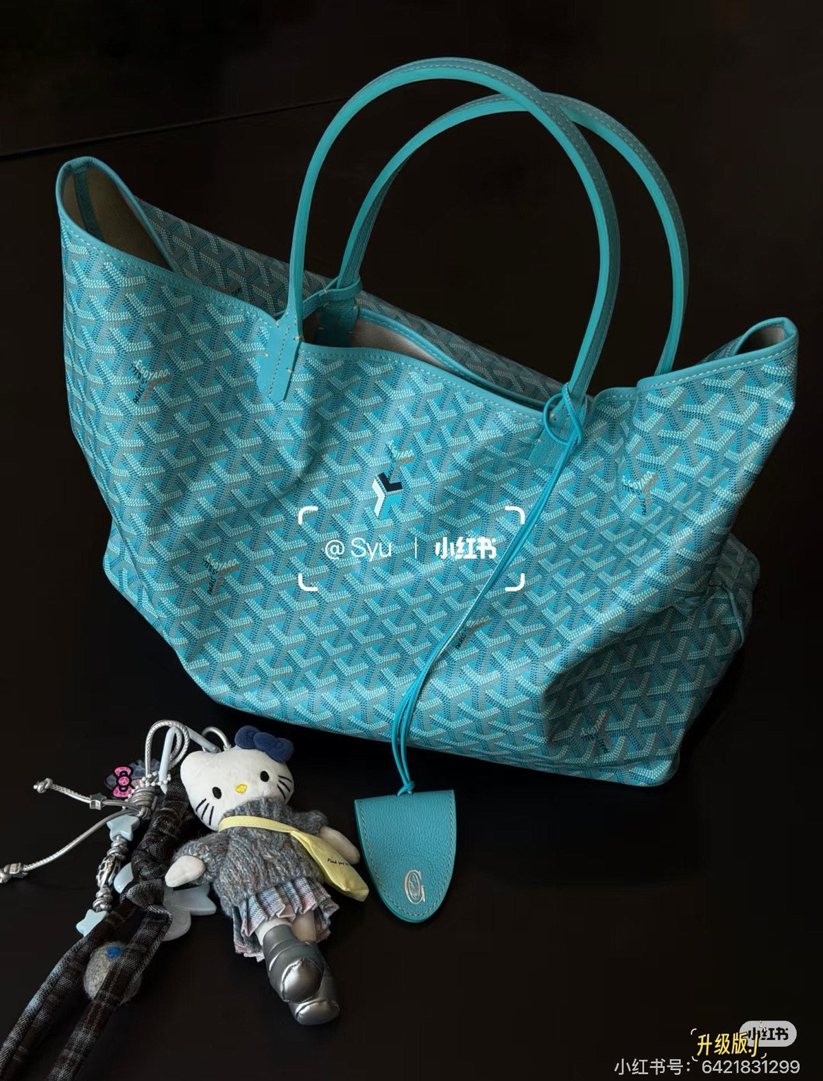 Goyard Geometric Pattern Open-Top Tote — hero