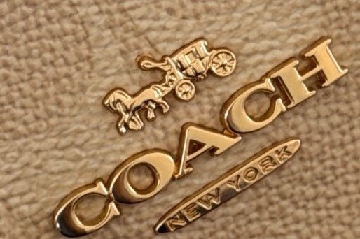 Coach Fiona Patterned Zip-Top Tote — detail