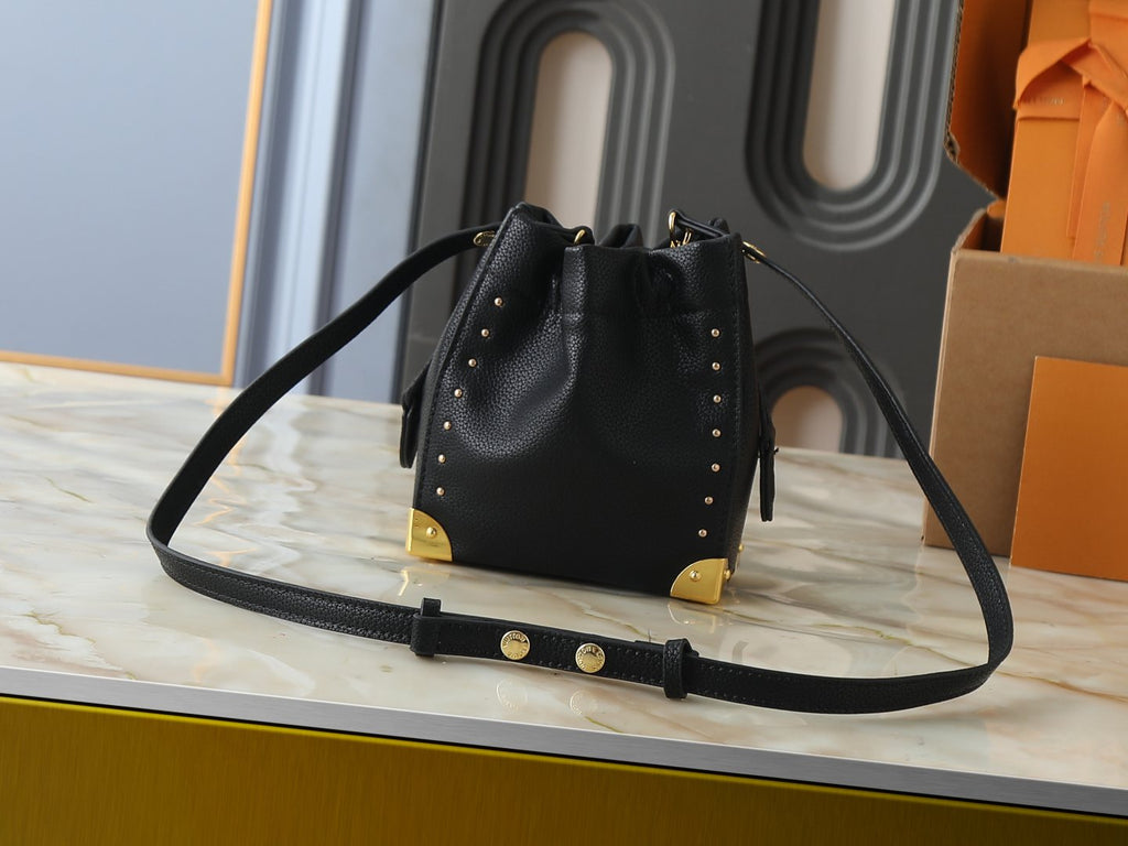Louis Vuitton Nano Noé Trunk Bucket Bag — back