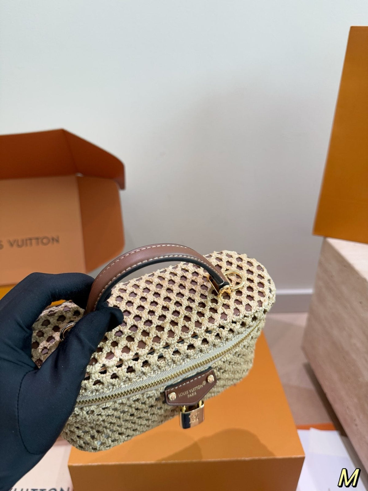 Louis Vuitton Vanity Top Handle Bag — model