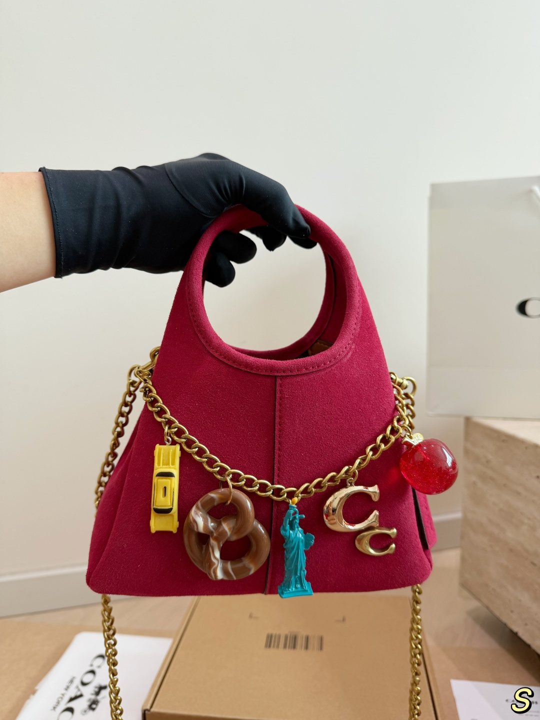 Coach Lana Charm Chain Handbag — model