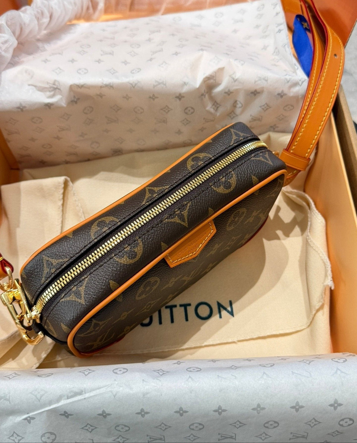 Louis Vuitton Nano Alpha Monogram Camera Bag — detail
