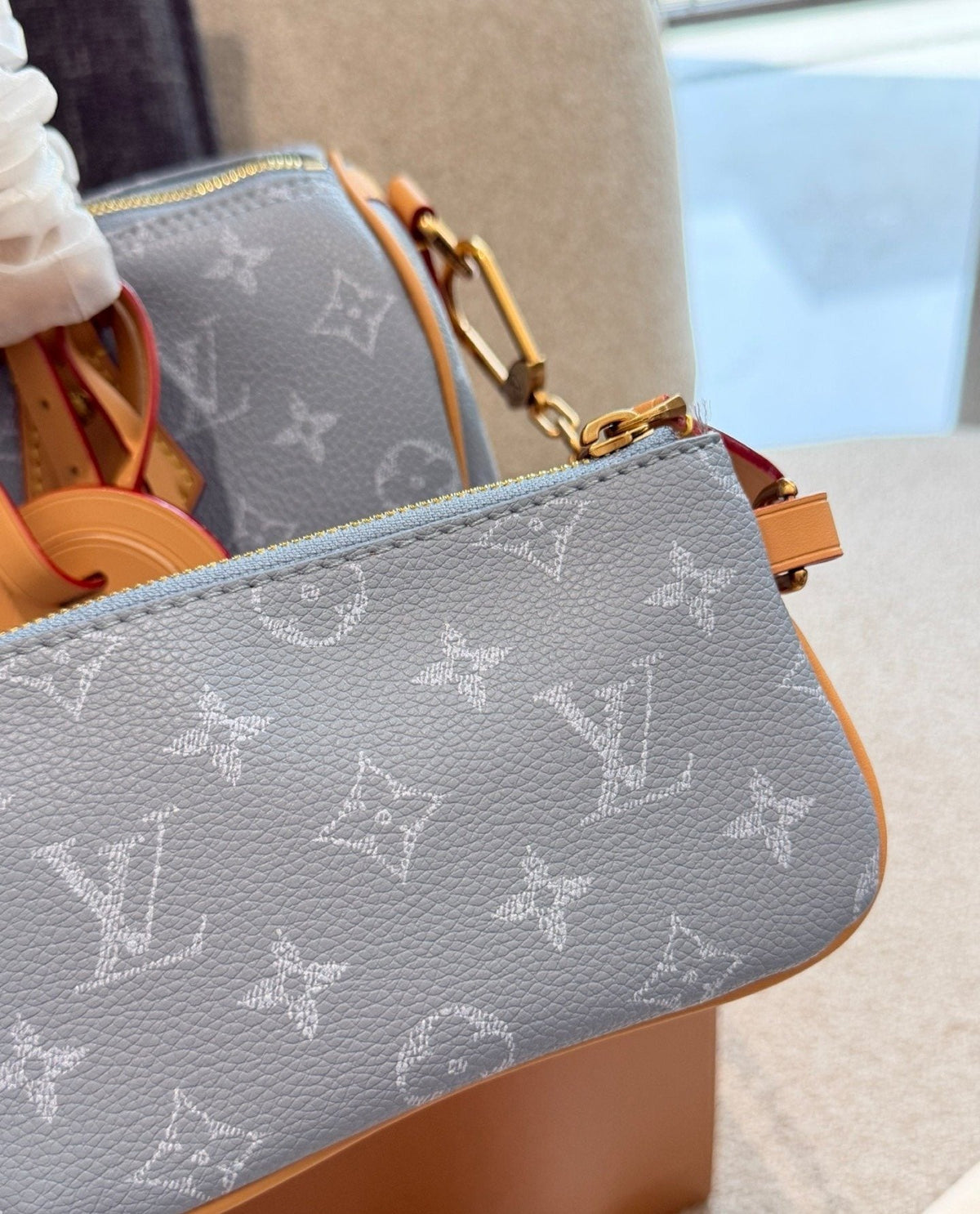 Louis Vuitton Speedy Monogram Handbag — detail