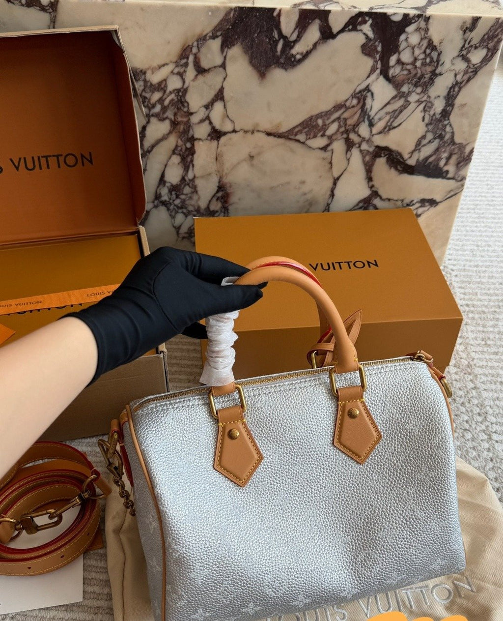 Louis Vuitton Speedy Silver Satchel with Tan Trim — model
