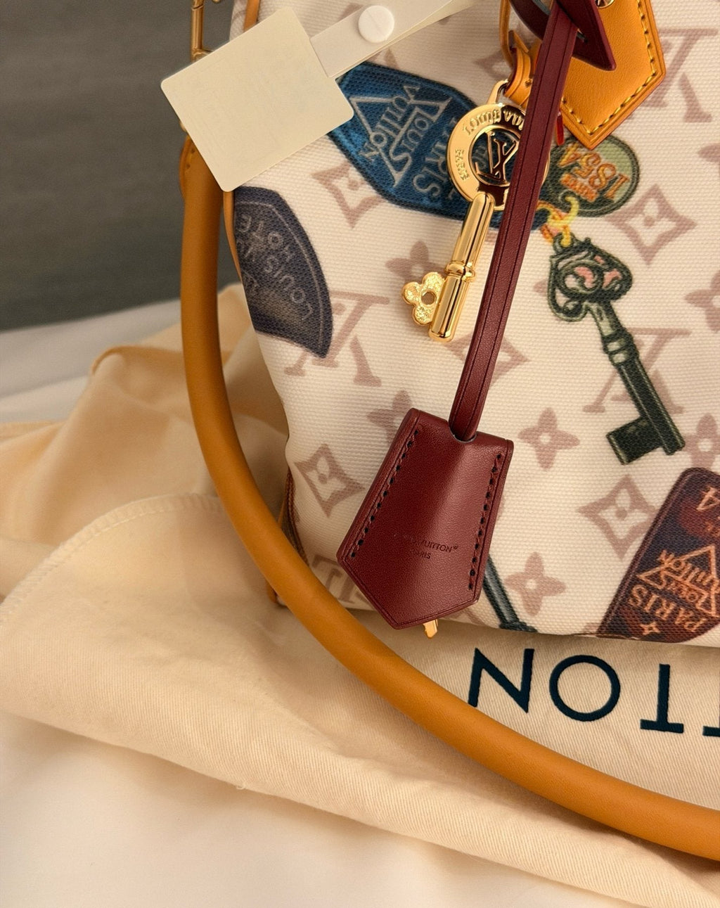 Louis Vuitton Speedy Flight Mode Printed Satchel — detail