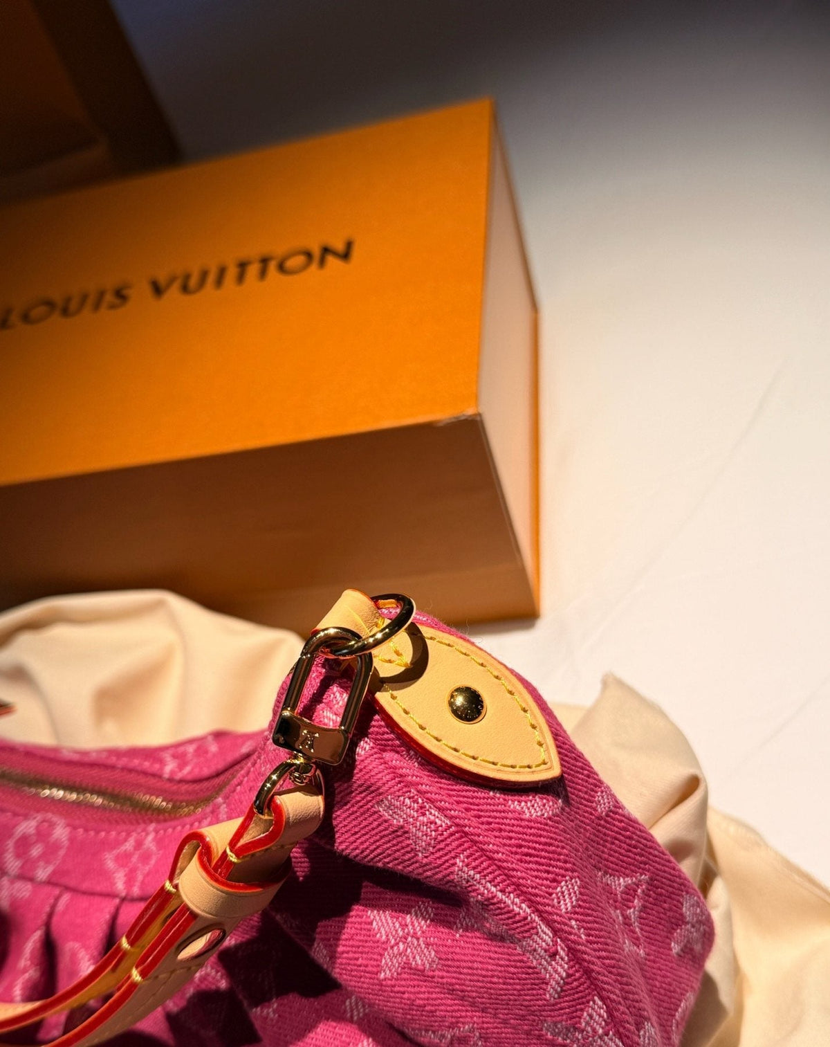 Louis Vuitton Gathered Crescent Shoulder Bag — detail