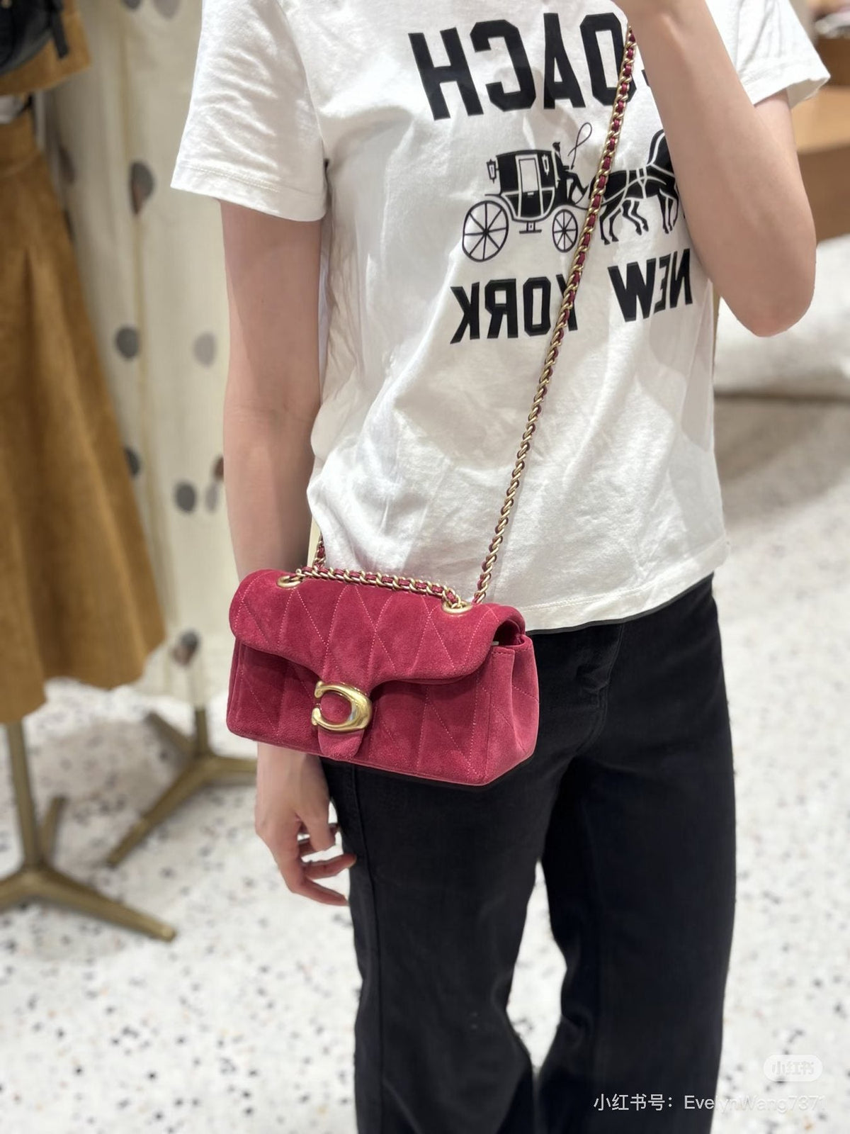 Coach Quilted Tabby Chain Shoulder Bag — model