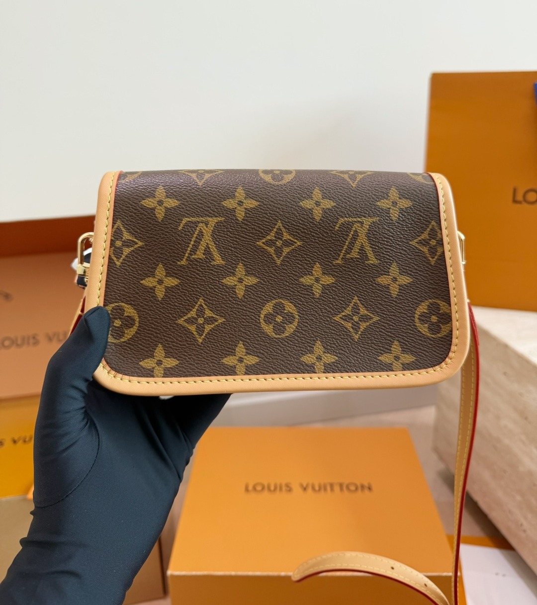 Louis Vuitton Diane Nano Monogram Flap Bag — back