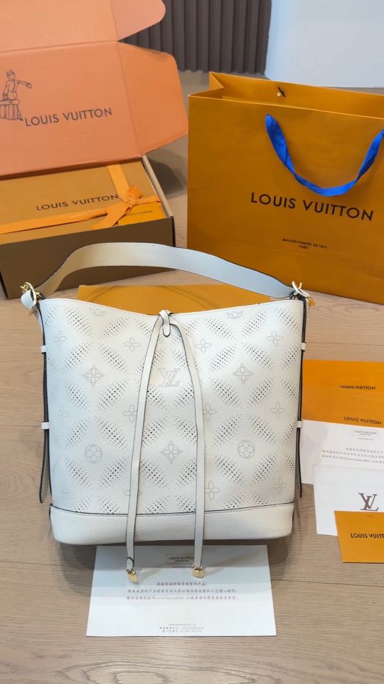 Louis Vuitton Noé Monogram Drawstring Bucket Bag — hero