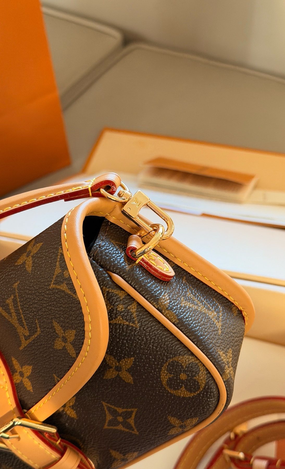 Louis Vuitton Monogram Flap Crossbody Bag — detail