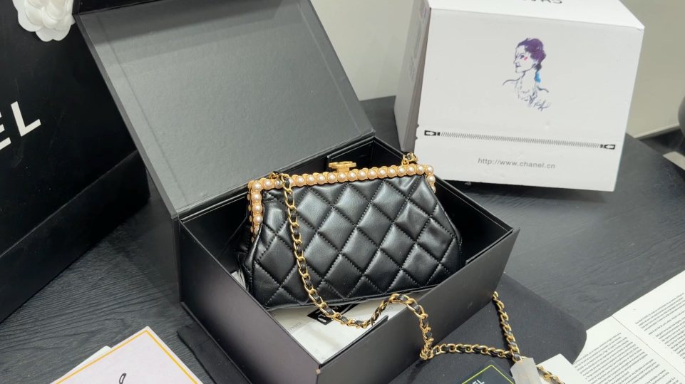 Chanel Pearl-Trim Quilted Frame Bag — hero