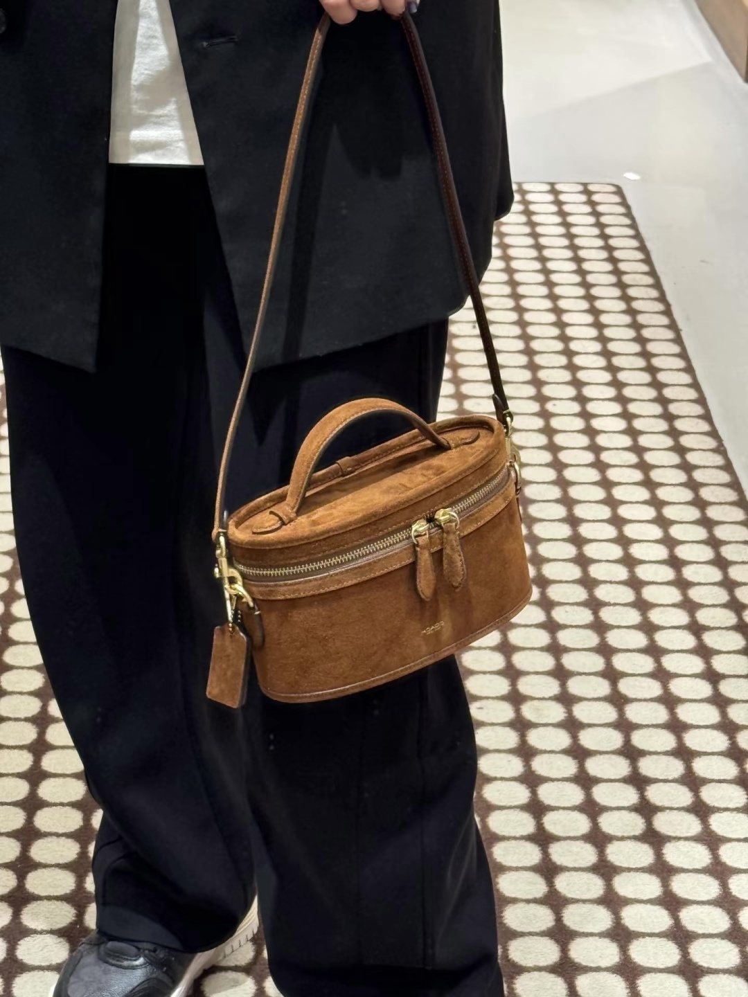 Coach Trail Top Handle Vanity Bag — model