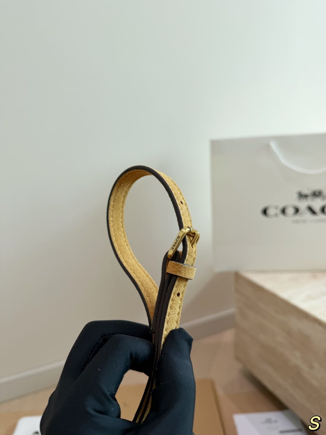 Coach Trail Top Handle Vanity Bag — detail