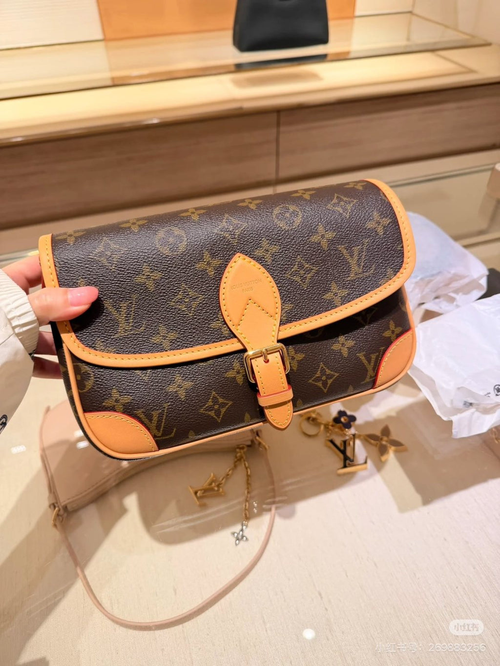 Louis Vuitton Diane Monogram Shoulder Bag — hero