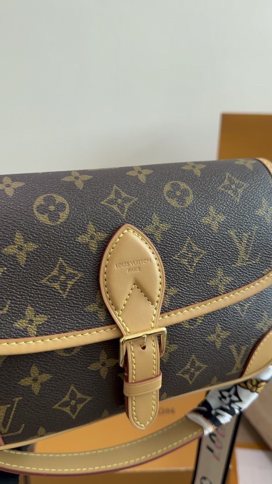 Louis Vuitton Diane Monogram Shoulder Bag — detail