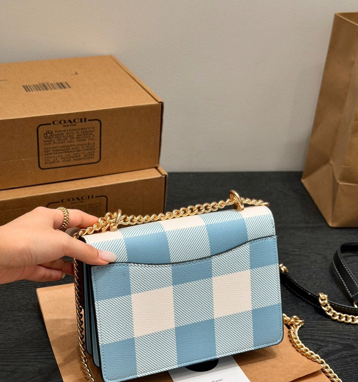 Coach Klare Checked Accordion Crossbody Bag — back